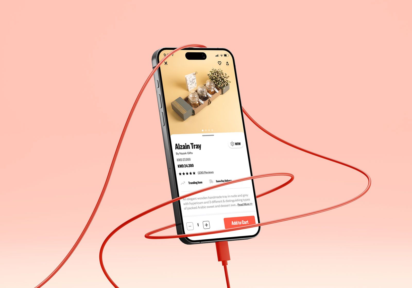 Items Details Page Design (Bleems)